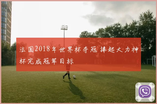 法国2018年世界杯夺冠 捧起大力神杯完成冠军目标