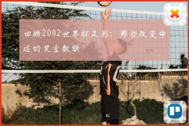 回顾2002世界杯足彩：那些改变命运的奖金数额