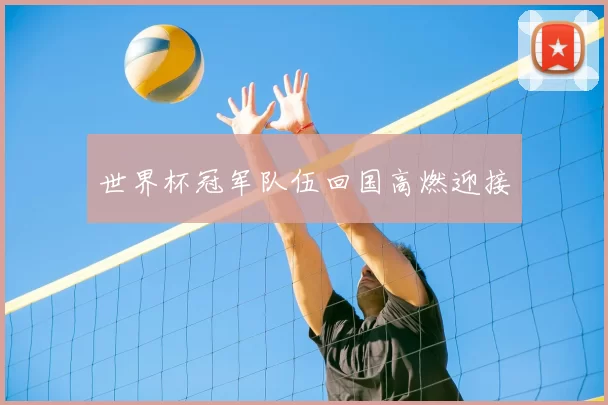 世界杯冠军队伍回国高燃迎接
