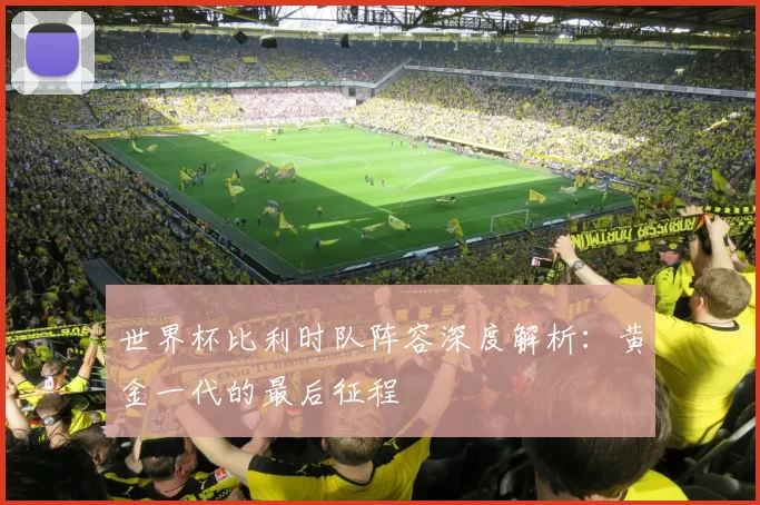 世界杯比利时队阵容深度解析：黄金一代的最后征程