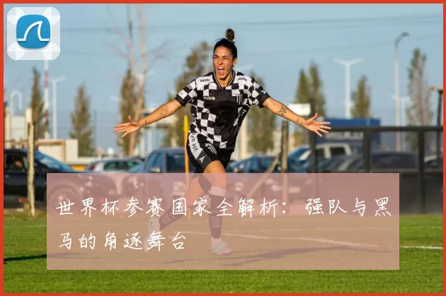 世界杯参赛国家全解析：强队与黑马的角逐舞台