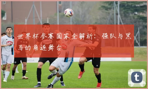 世界杯参赛国家全解析：强队与黑马的角逐舞台