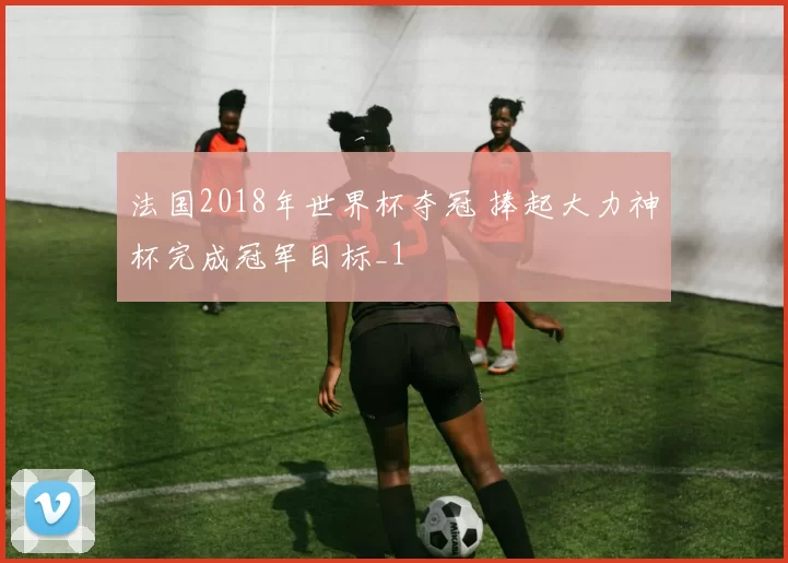 法国2018年世界杯夺冠 捧起大力神杯完成冠军目标_1