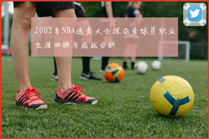 2002年NBA选秀大会探花秀球员职业生涯回顾与成就分析