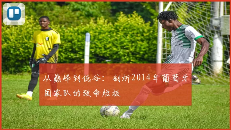 从巅峰到低谷：剖析2014年葡萄牙国家队的致命短板
