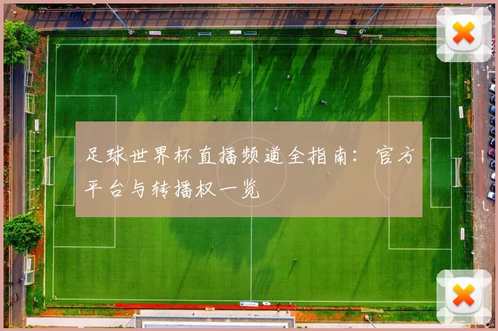 足球世界杯直播频道全指南：官方平台与转播权一览