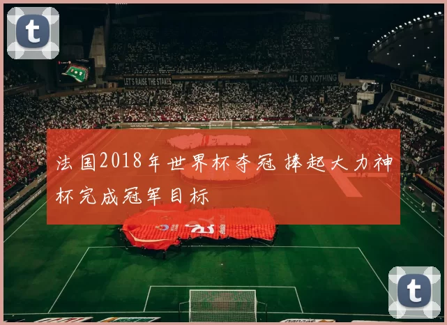 法国2018年世界杯夺冠 捧起大力神杯完成冠军目标