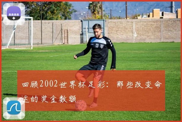 回顾2002世界杯足彩：那些改变命运的奖金数额