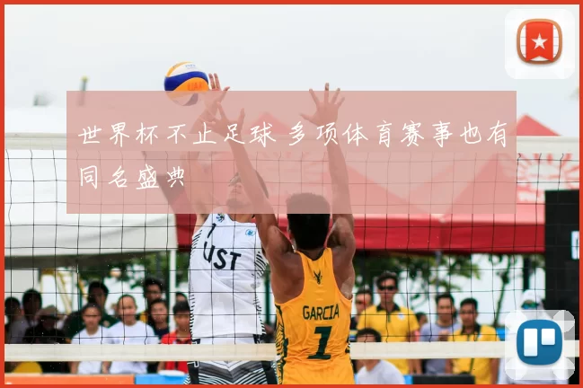 世界杯不止足球 多项体育赛事也有同名盛典
