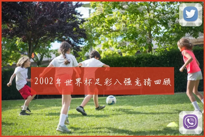 2002年世界杯足彩八强竞猜回顾