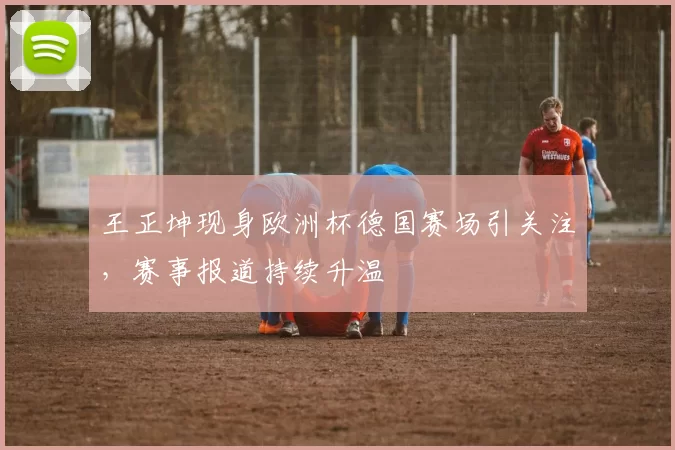 王正坤现身欧洲杯德国赛场引关注，赛事报道持续升温