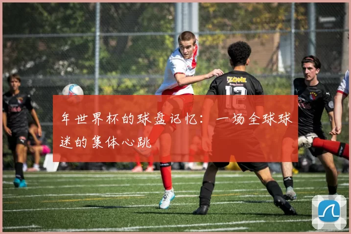 年世界杯的球盘记忆：一场全球球迷的集体心跳